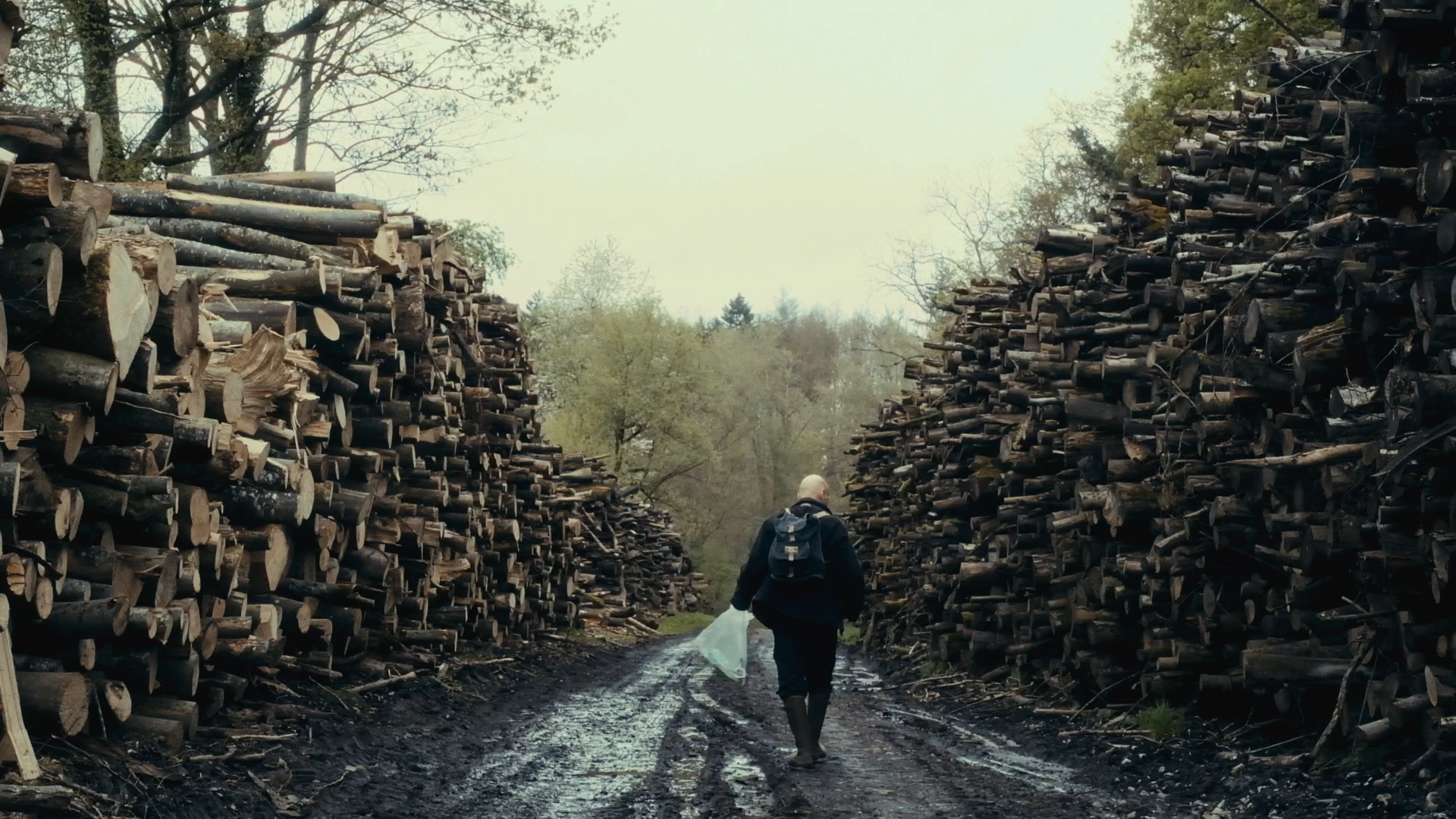 Still 2026-01-10 101828_1.1.9.png