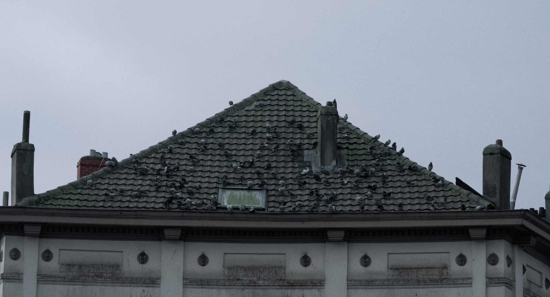 Still 2025-11-25 210115_1.28.1.png