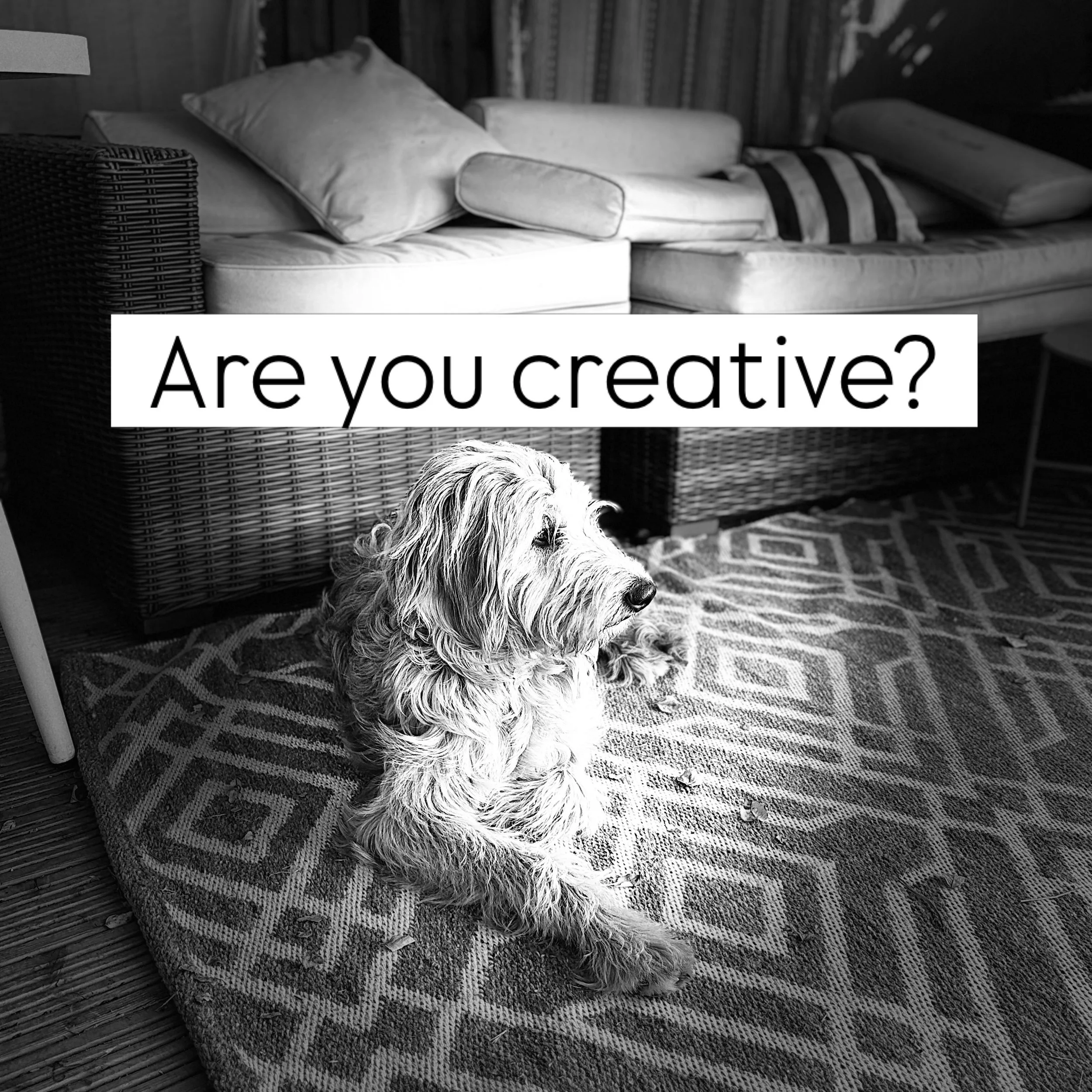 Are you creative? Can you sing/write songs?
 
Sparkly People Song first draft 

Sparkle is the way you feel,
How you sense and what feels real. ✨

Big feelings, busy brains,
Sunshine, music, wind and rain.

Young and old, from everywhere,
Different s
