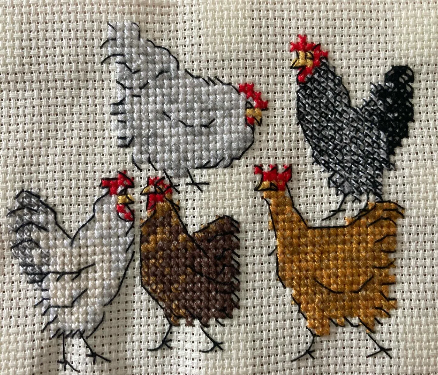 Most gorgeous card of my chooks 💕🐓💕