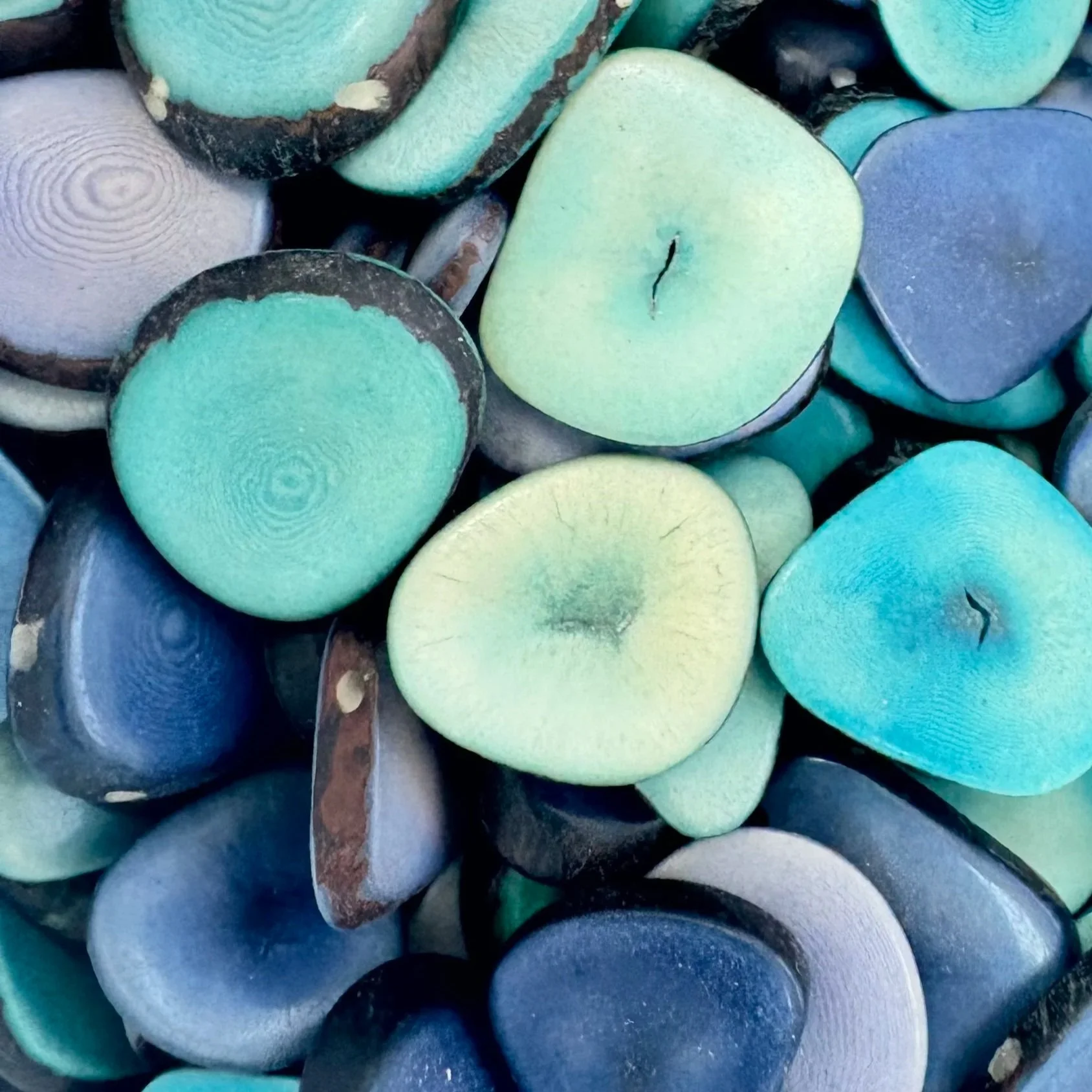 ✨Spark Pod™ and book set