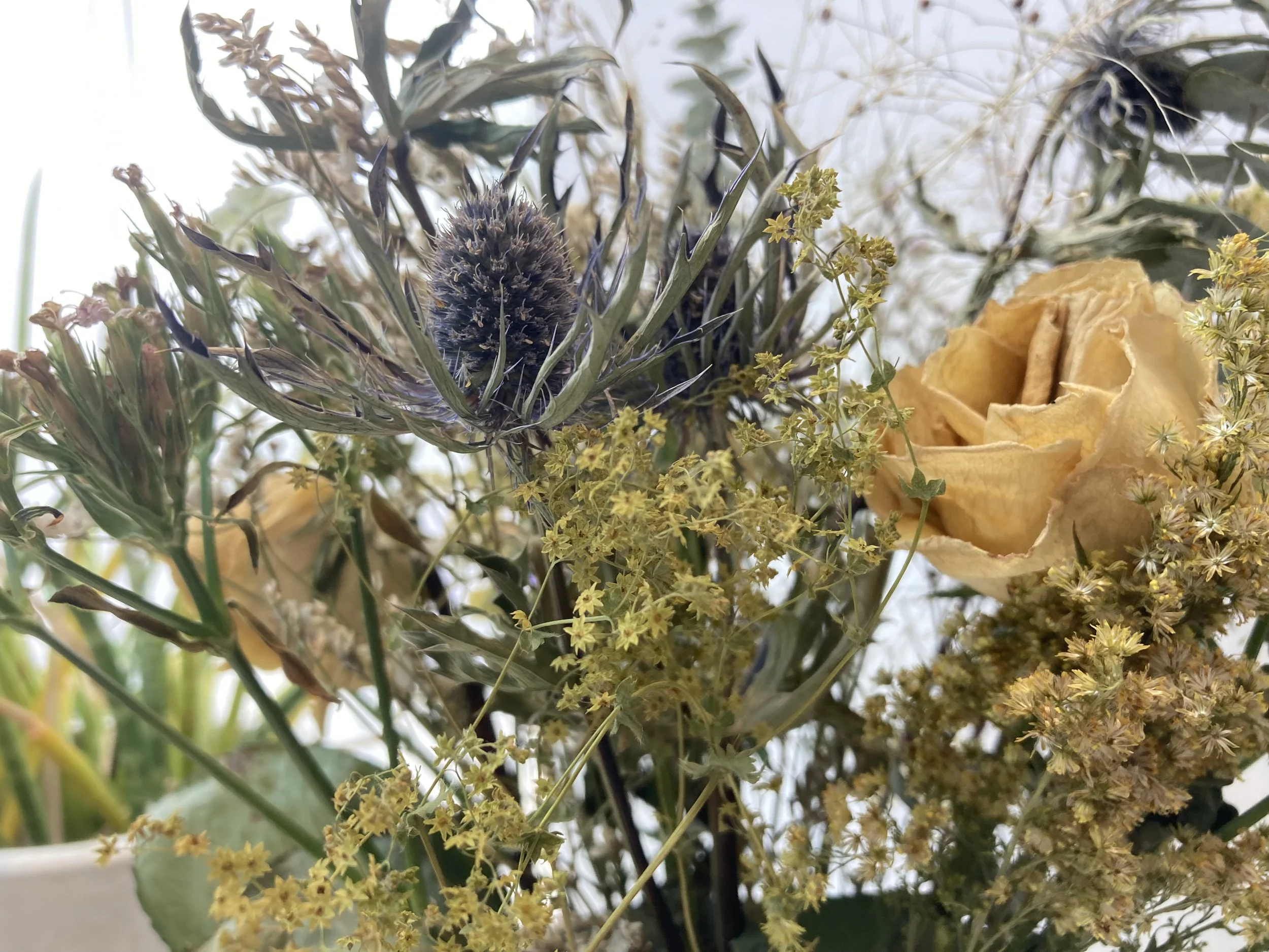 Close-up of a bouquet with dried flowers, including yellow roses, small yellow blossoms, and a dark purple thistle.