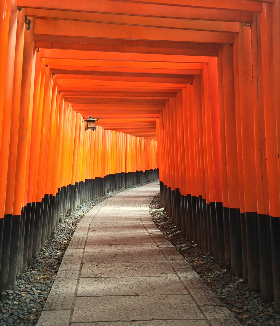 A winding pathway through a series of Torii gates at Fushimi Inari Shrine in Japan.