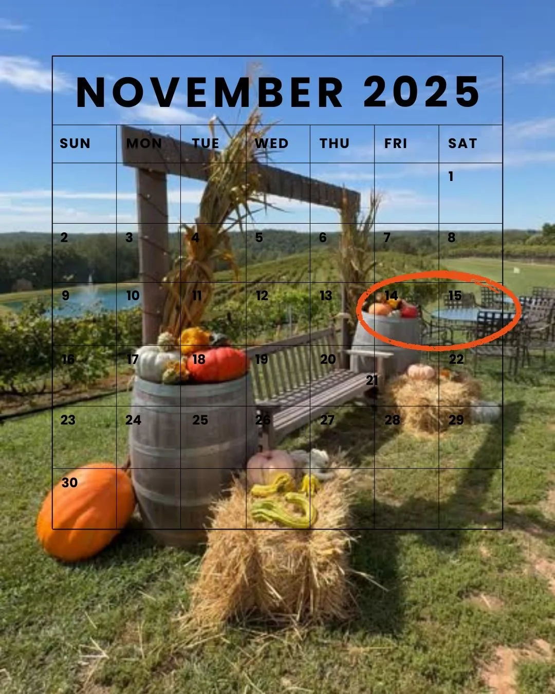 ✨ Last chance for a cozy fall getaway! ✨
Our last available weekend (14th-16th) in November is waiting for you at Blue Door, Dahlonega 💙🍂
Unwind among the trees, sip local wine, and soak up mountain views before the holiday rush! 🍷🏡
➡️ Book now &