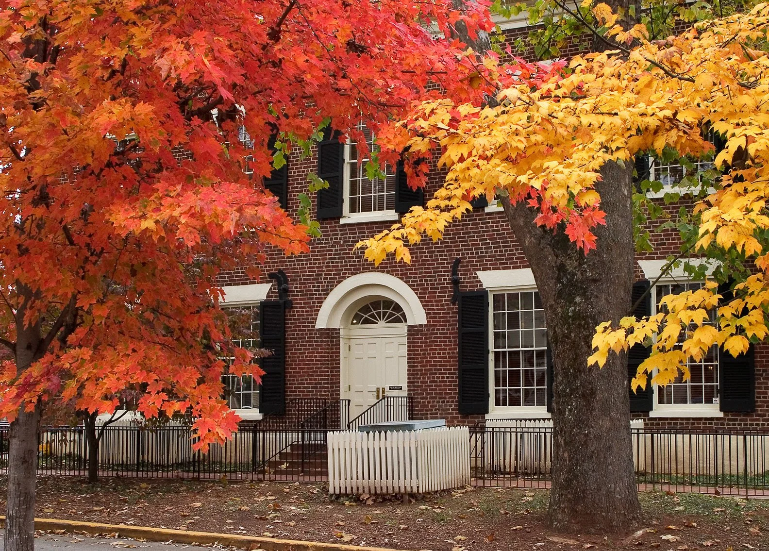 Your Perfect Autumn Weekend in Dahlonega, Georgia 🍂