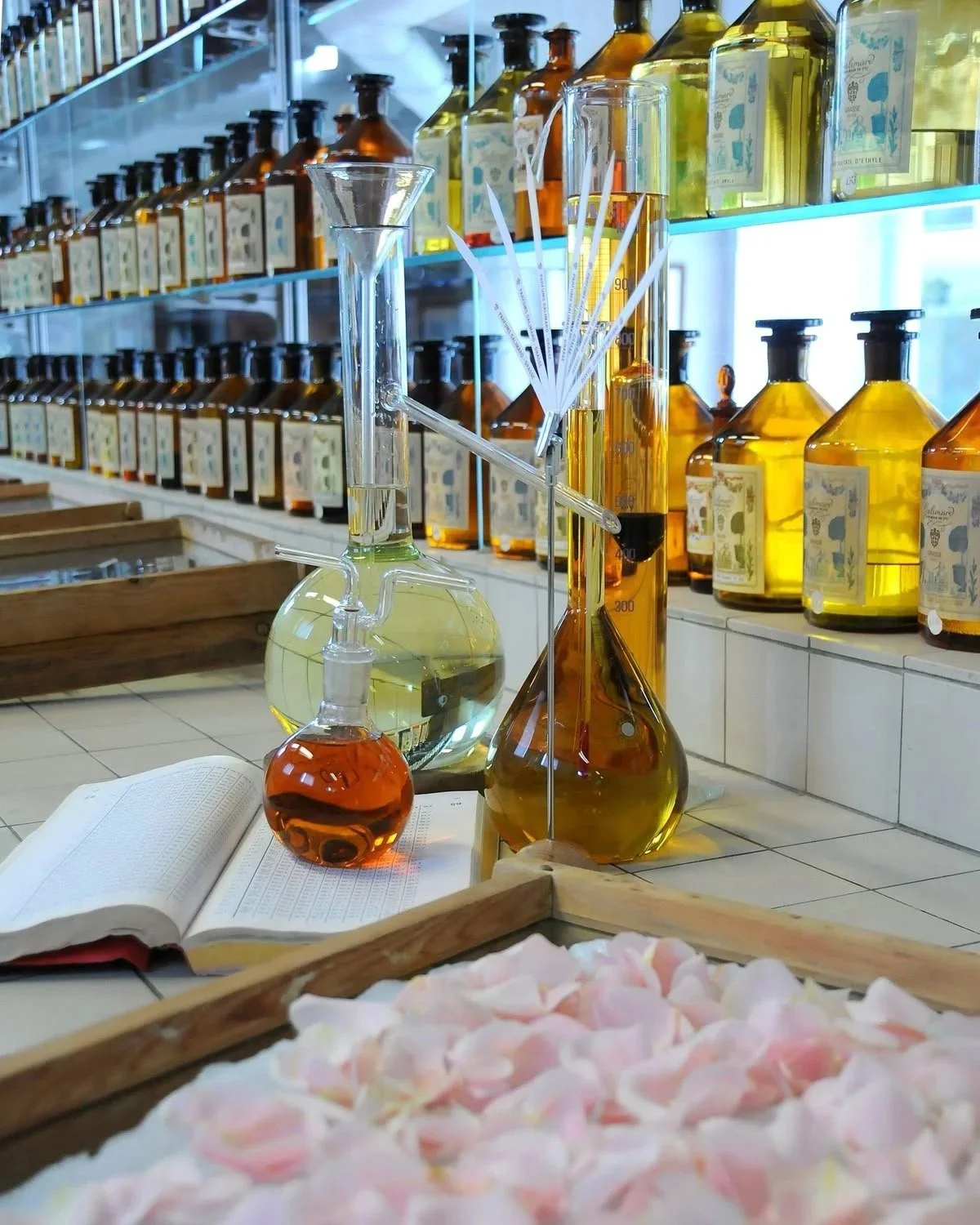 Sorumlu İçerik Kullanımı