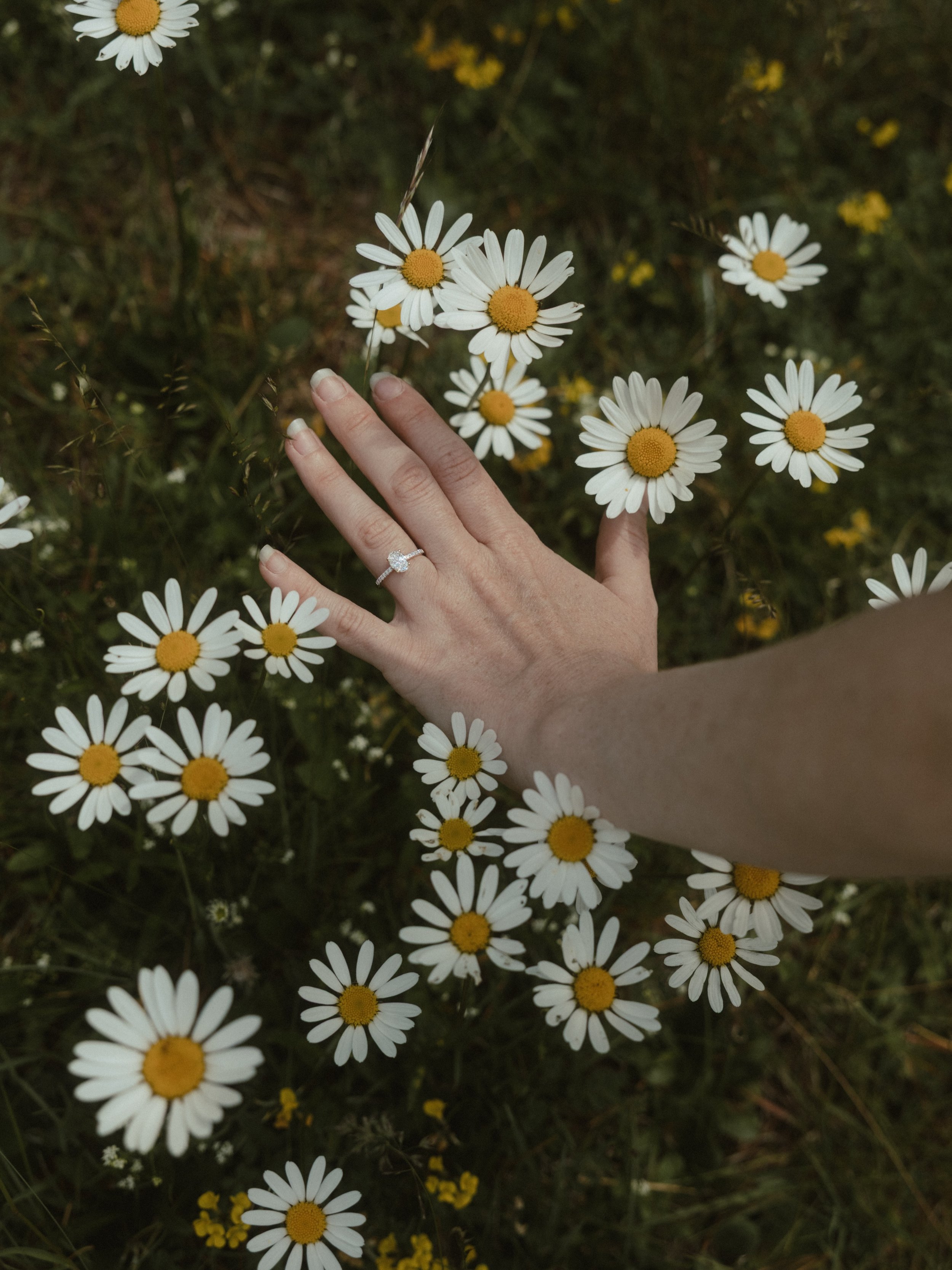 Summer &lsquo;26 so far 🌼
endless love, alpine air, mountain sunrises, engagement hugs, heartfelt celebrations, long hikes, elopement picnics, and getting to witness the sweetest chapters of people&rsquo;s stories. Feeling so grateful this is what I