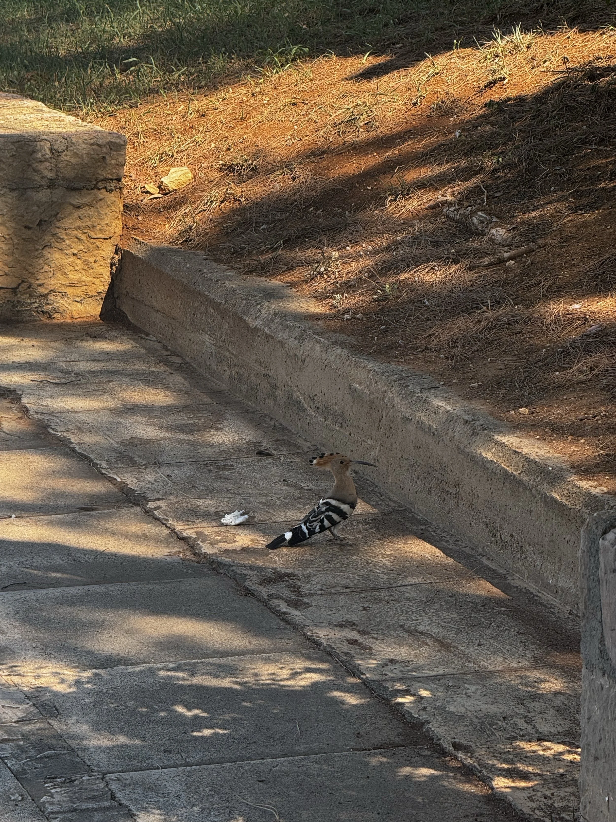 lost in athens-subsctack10.jpeg