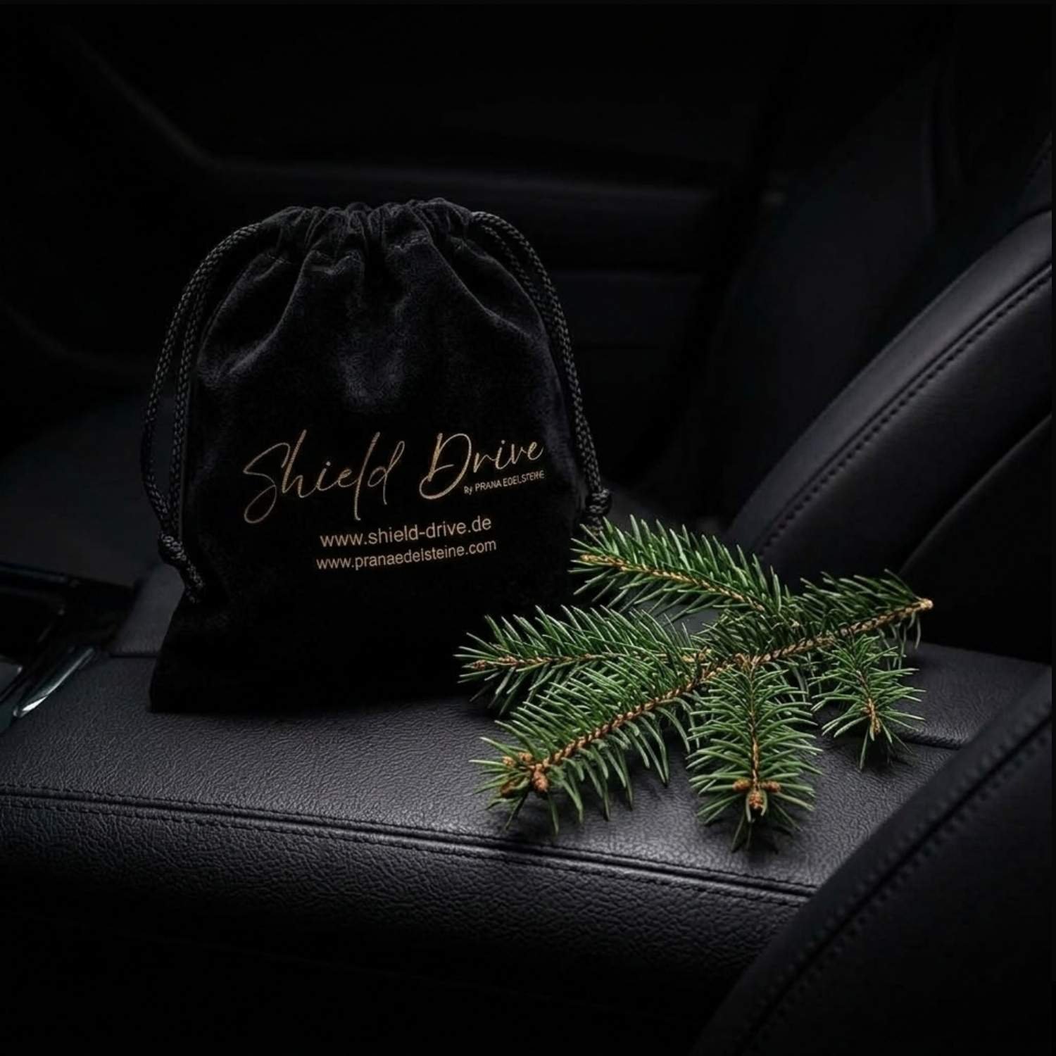 Shield Drive Geschenkidee: Schwarzer Beutel mit Mineralien auf dem E-Auto Sitz, daneben ein Tannenzweig.