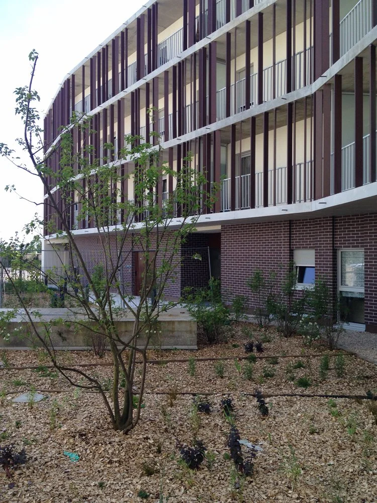 04-5dijhya cour1 100615w.jpg