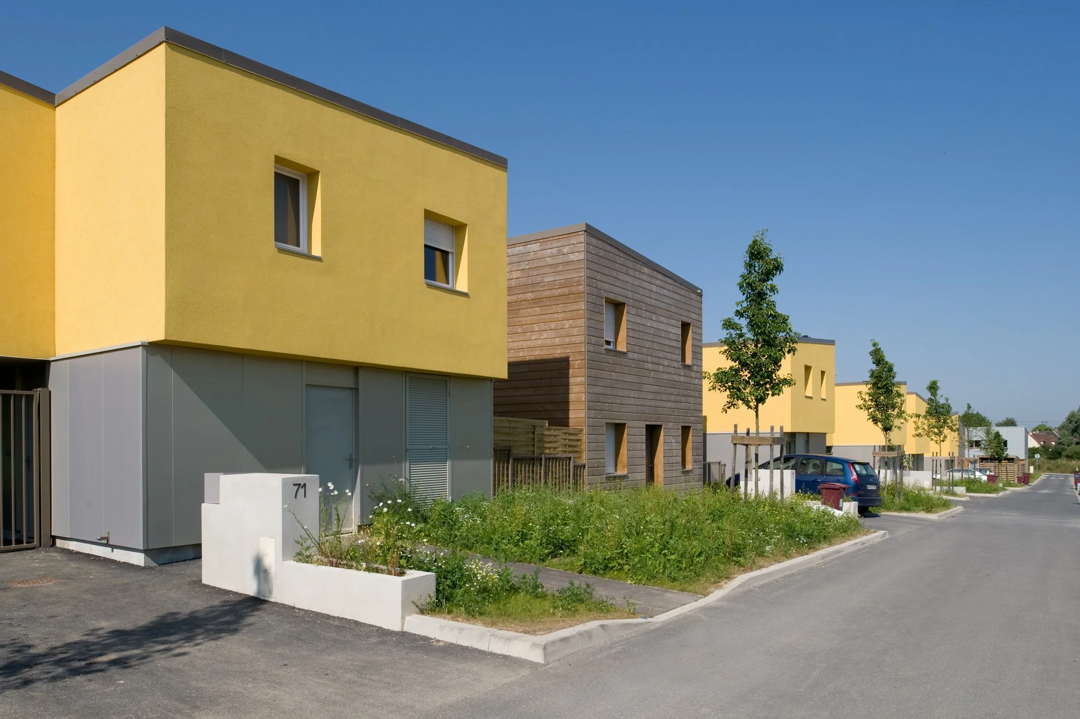11-Collegien2.jpg