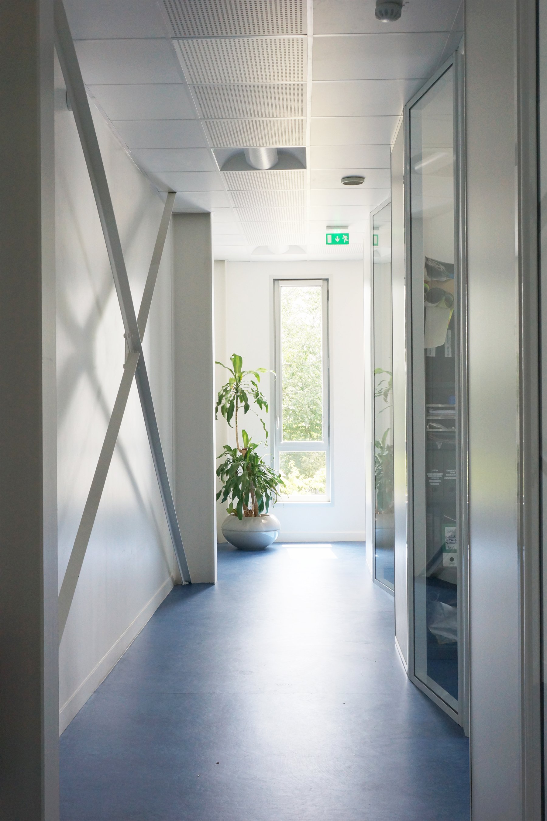 07-siet extens int1.jpg