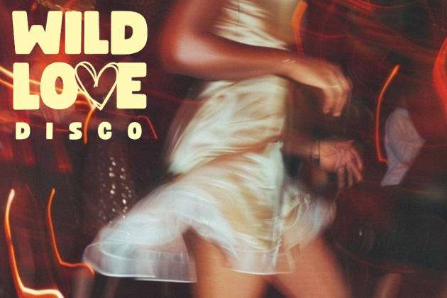WILD LOVE DISCO