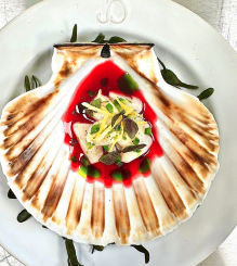 SCALLOP CRUDO