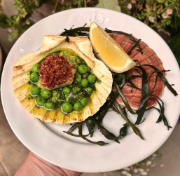 LOCH FYNE SCALLOP