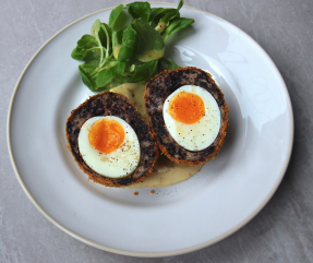 SCOTCH EGG