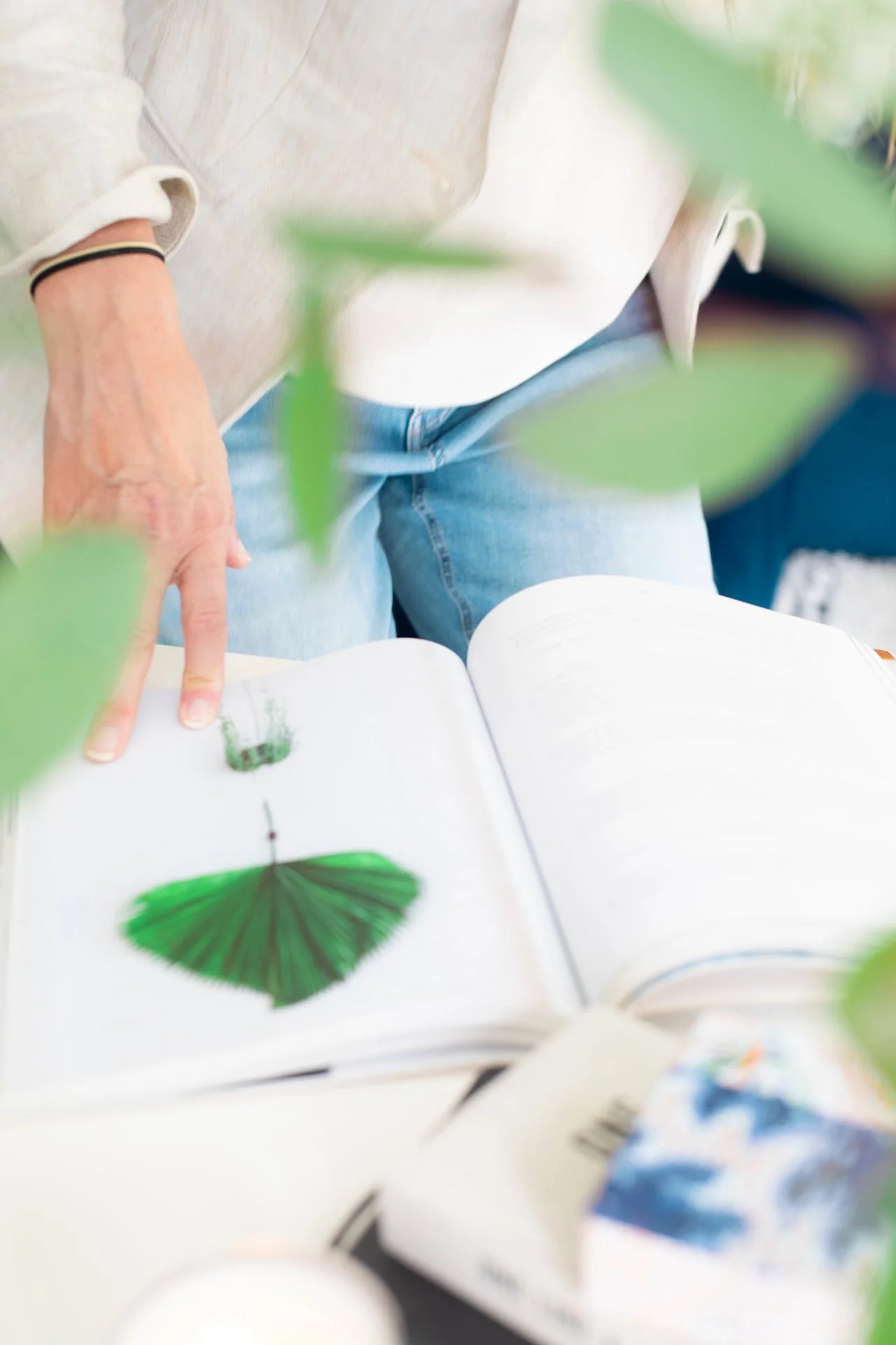 Open book showing an illustration of a green leaf with pronounced veins.