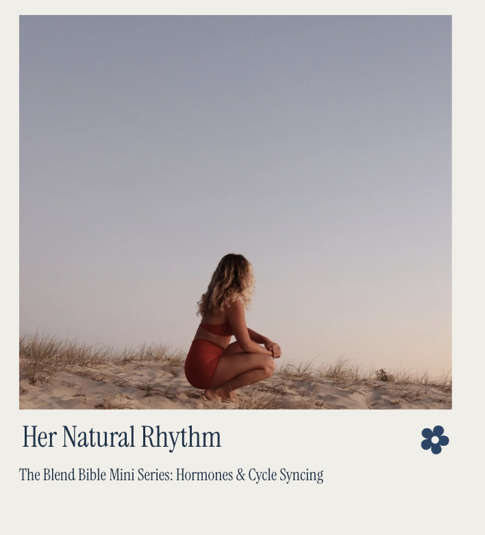 Screenshot 2025-11-06 at 1.19.41 PM.png