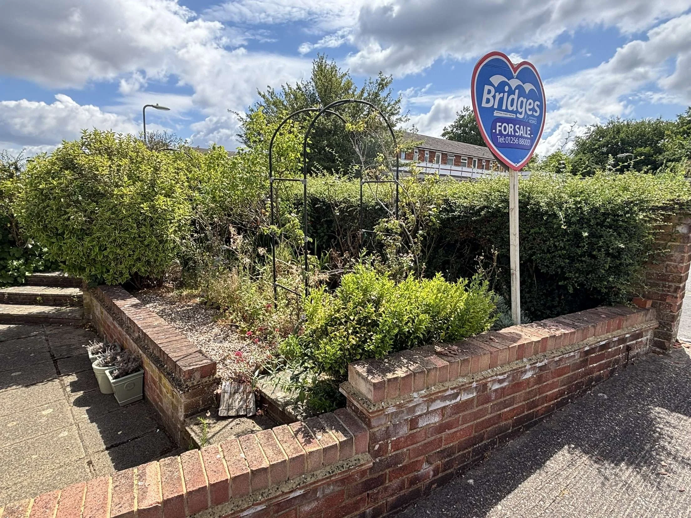 Before – wild and overgrown