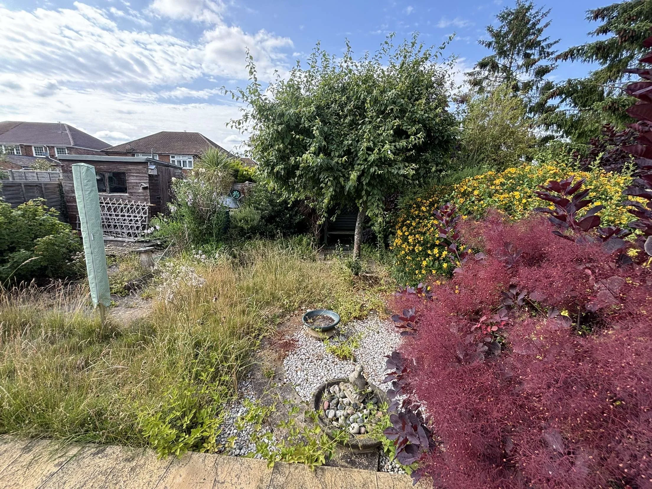 In need of a little love