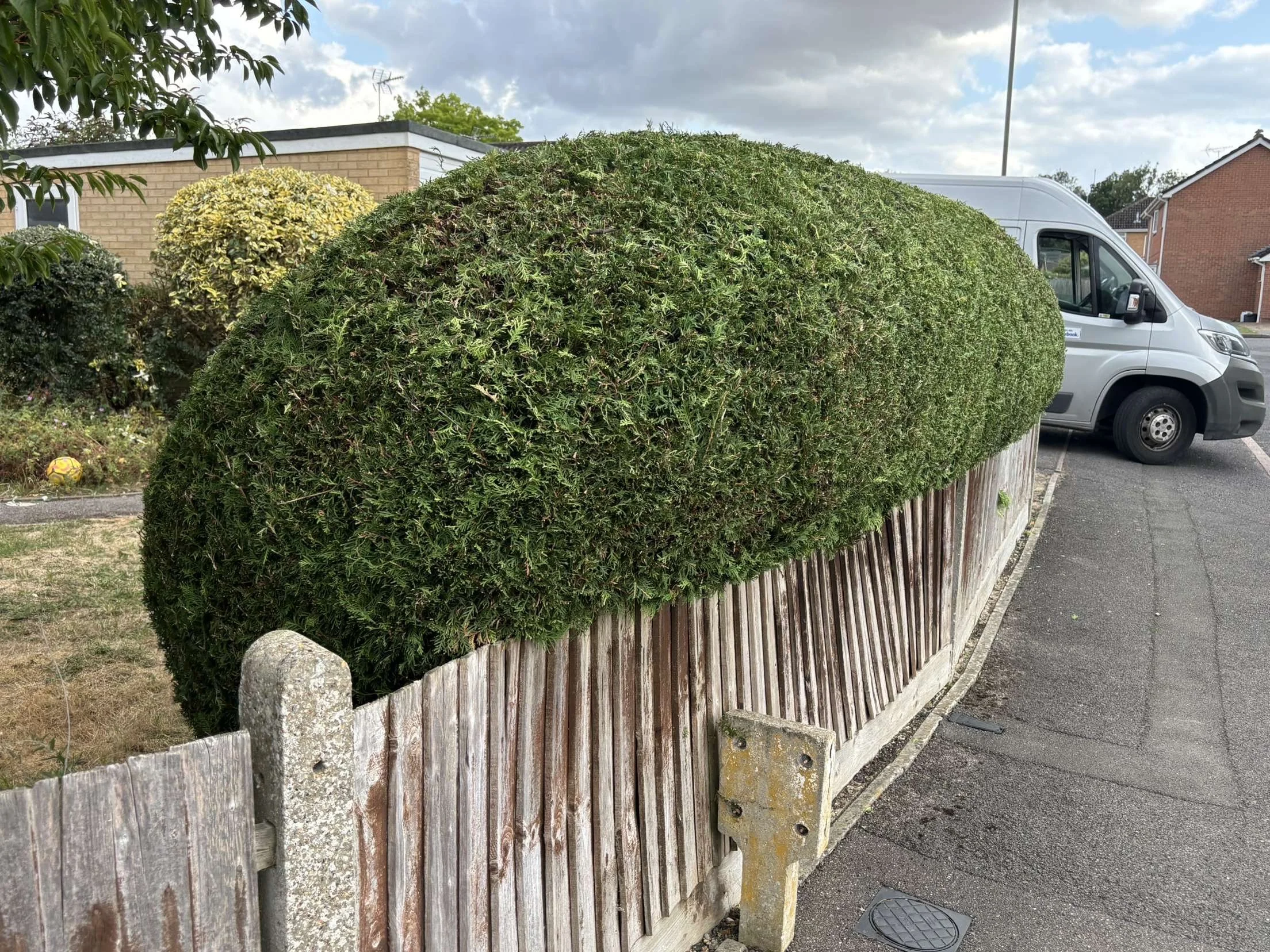 Hedge Cutting