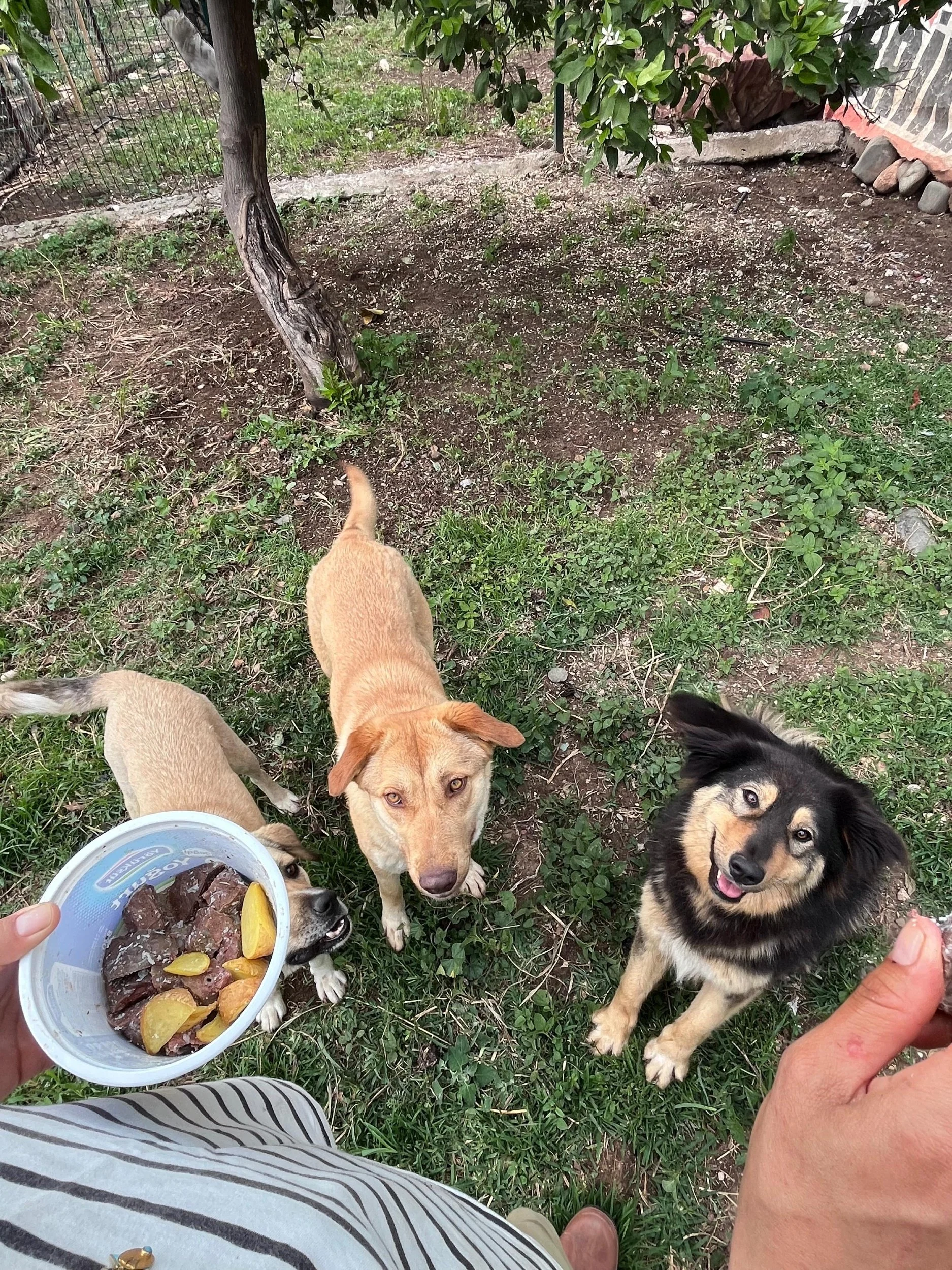 processed_IMG-20260507-WA0456.jpg