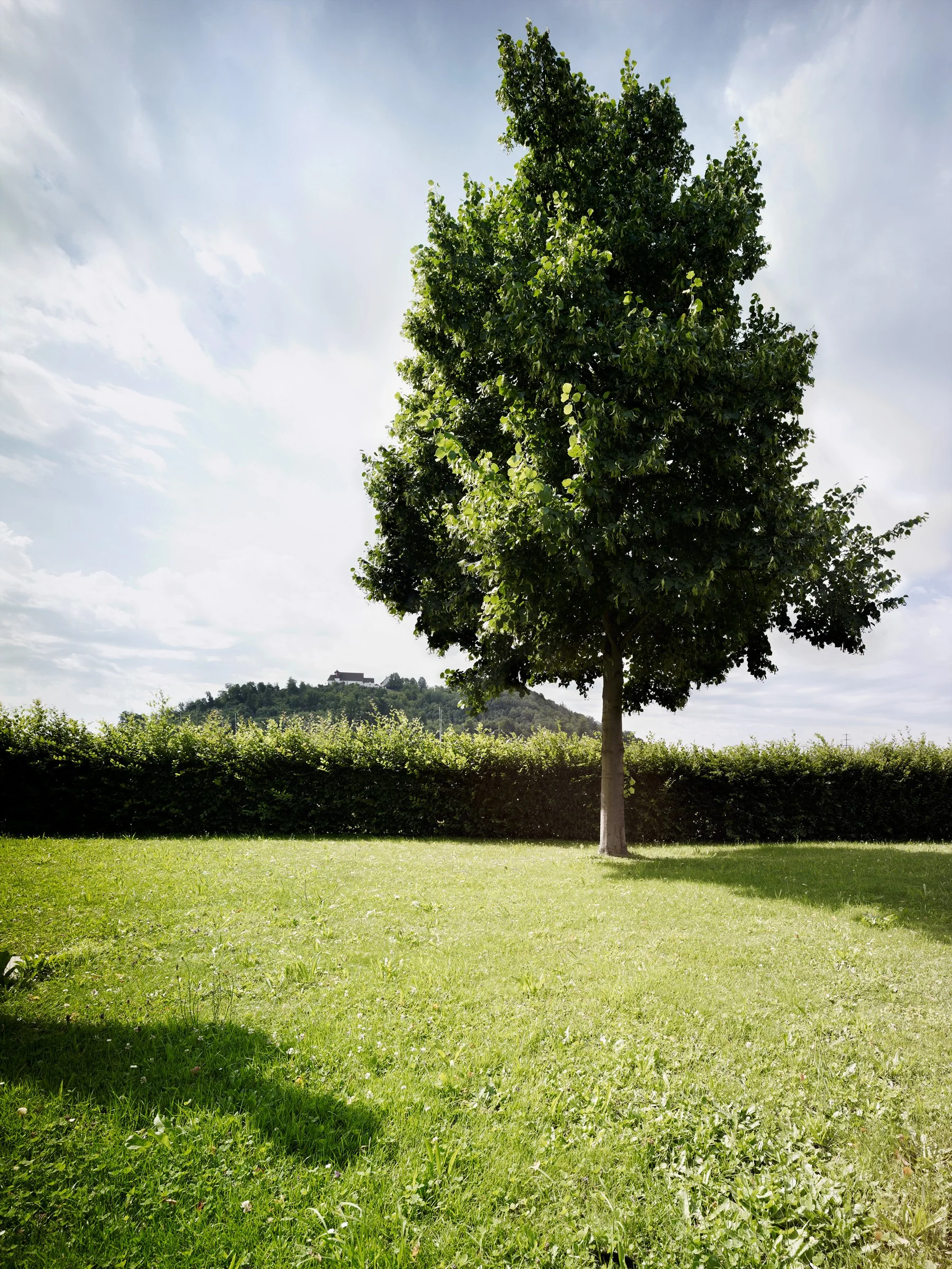 Bernhart Matter | Lenzburg, May 24, 1845 | Theft | Sword