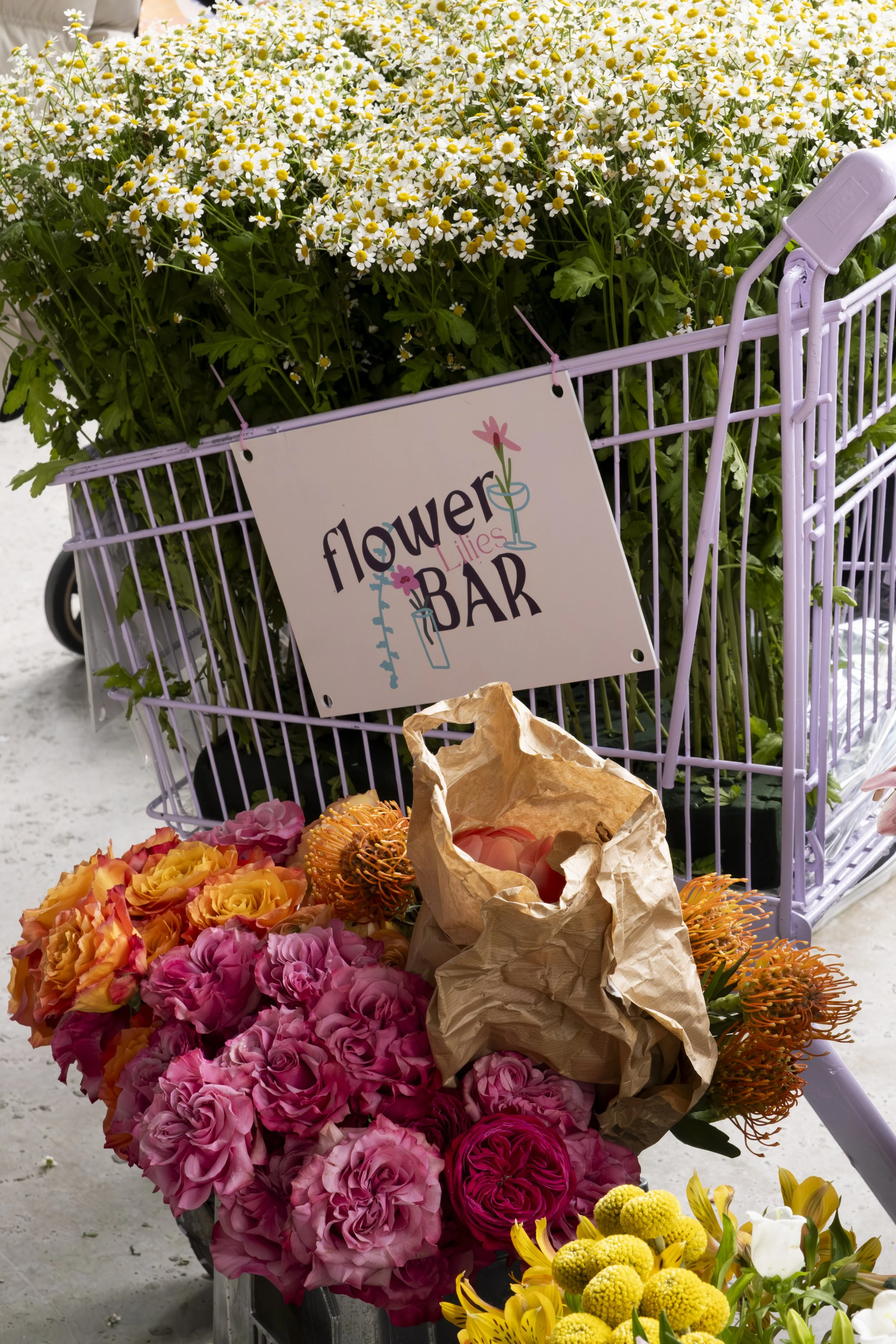 Anababagunu Nisan 2026 _136.jpg