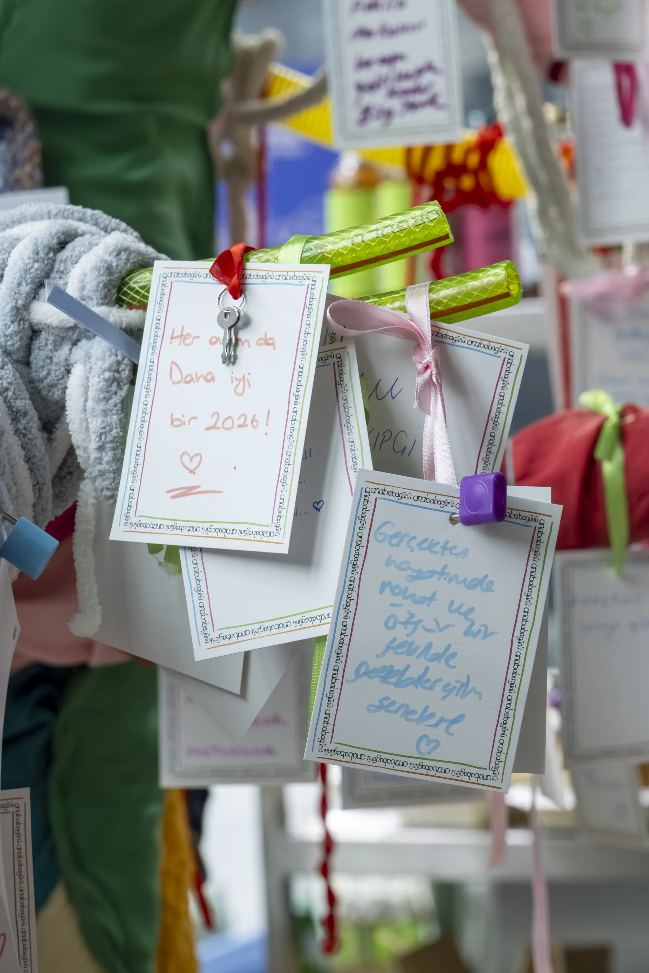 Anababagunu Nisan 2026 _293.jpg