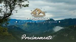 images (1).jpeg