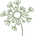 An illustration of a botanical element.