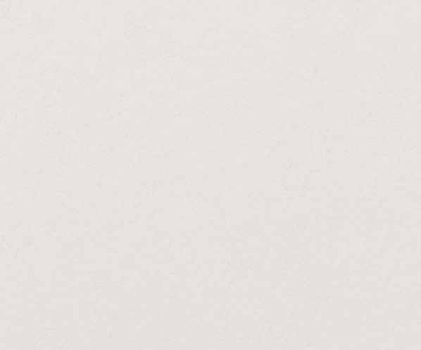 Blank sheet of paper with a textured surface.