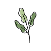 An illustration of a small branch.