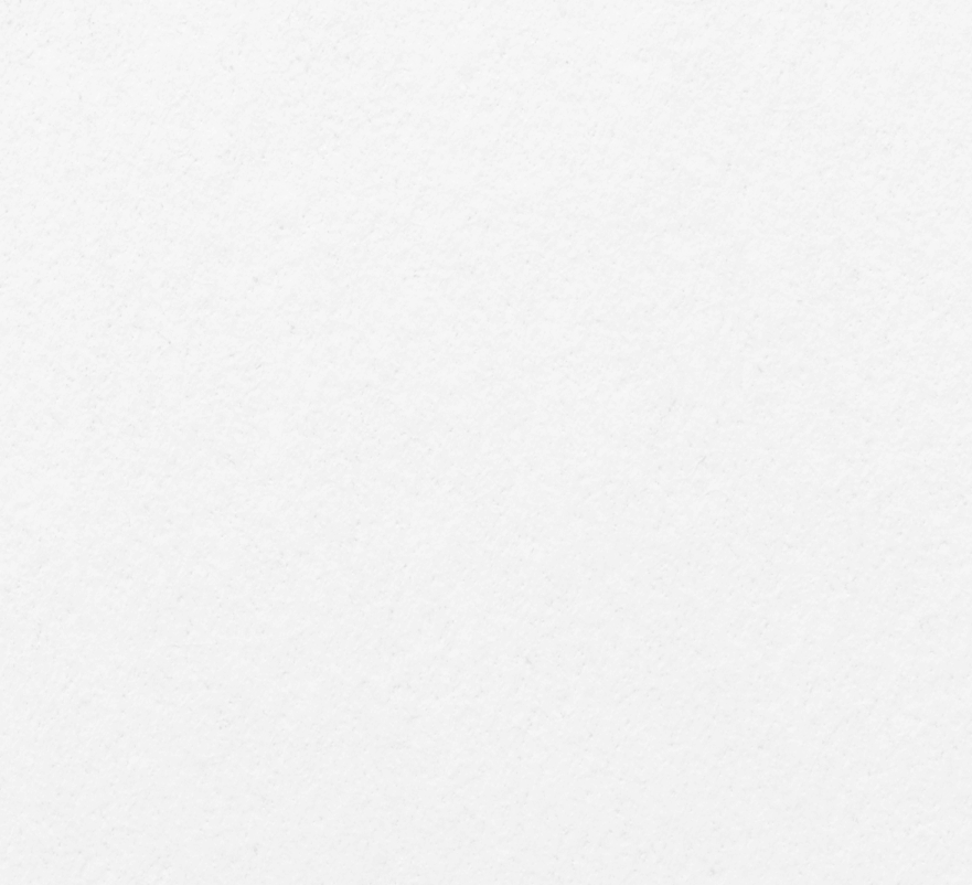 Plain, textured white paper or surface.