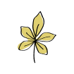 An illustration of a light green leaf.