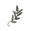 Simple black and white illustration of a small plant with leaves.