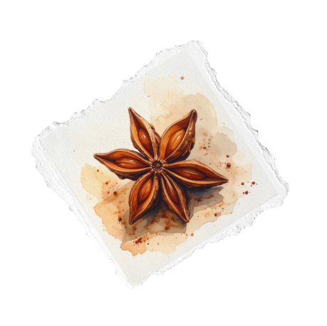 A star anise spice on a piece of torn white paper with watercolor splashes.