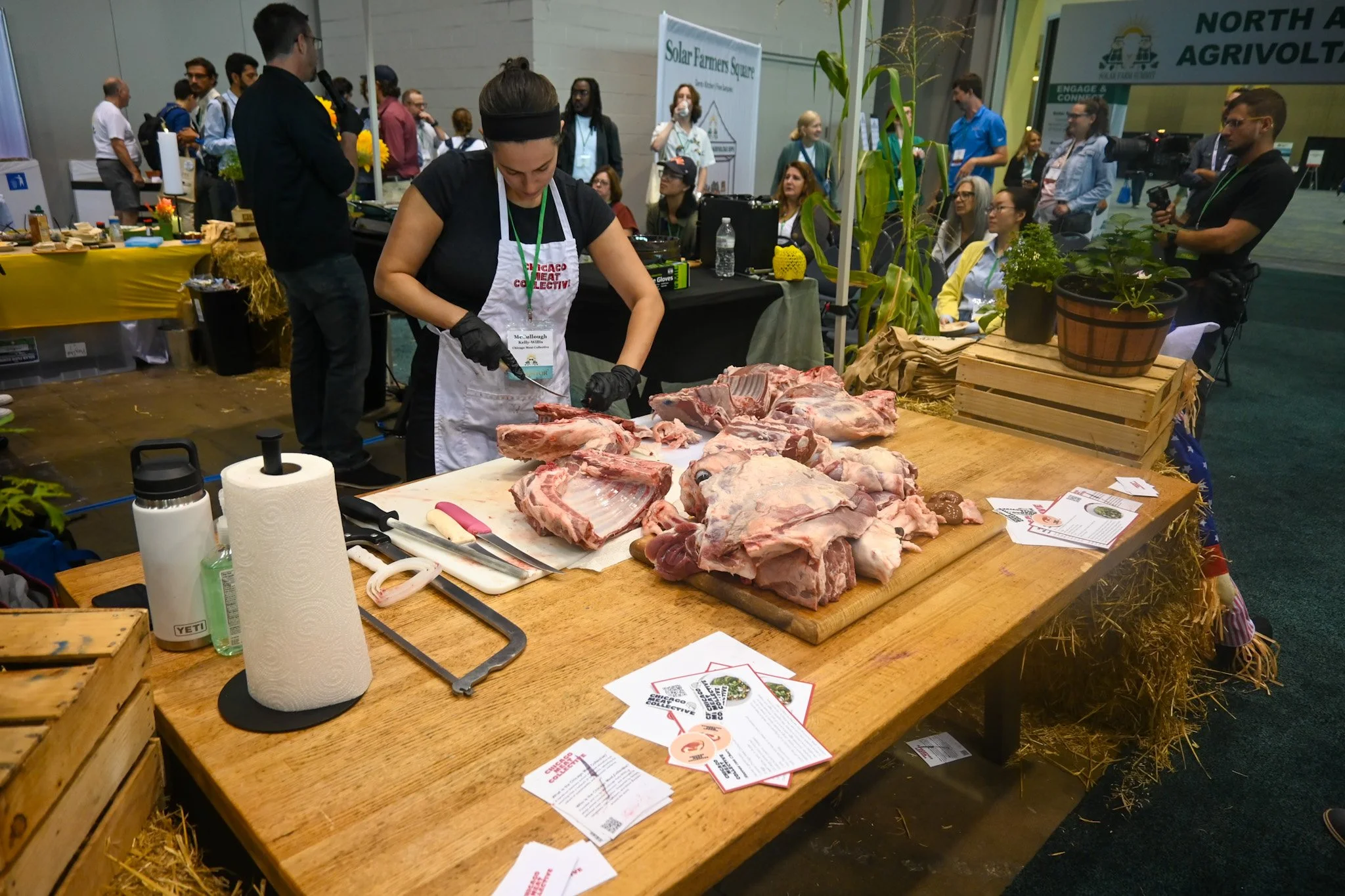 From 30 Sheep to 3,000: How Agrivoltaics Is Rewriting the Solar Narrative