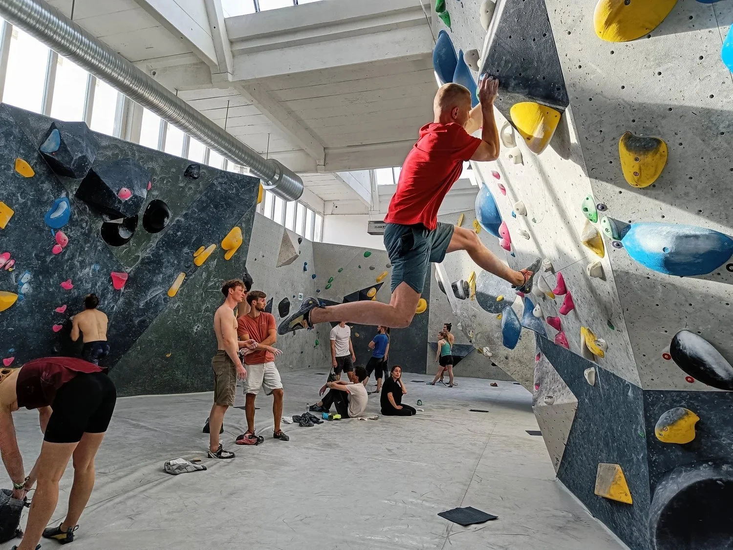 main pic bruce_compressed.jpg