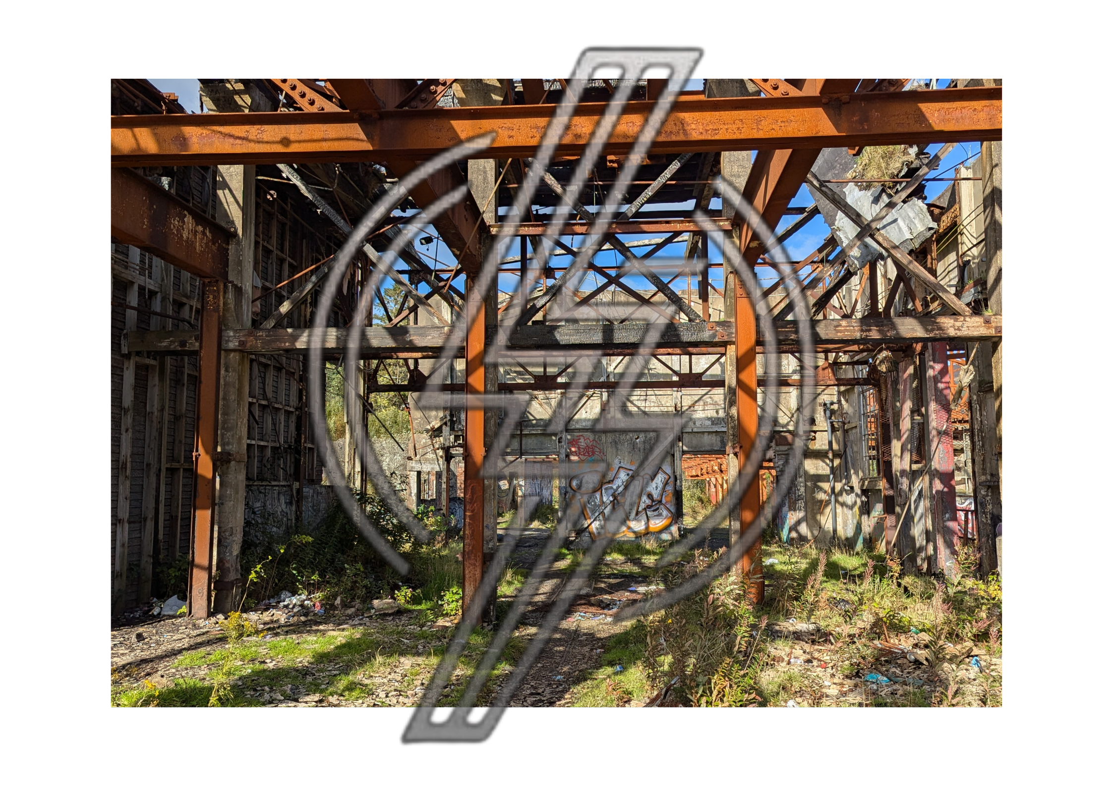 torpedorange_fullsize-watermarked.png
