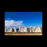 rhyolite_thumb.png