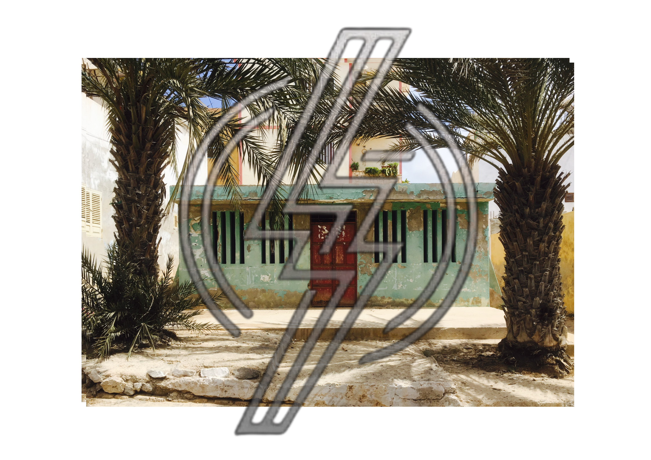 palms_fullsize-watermarked.png