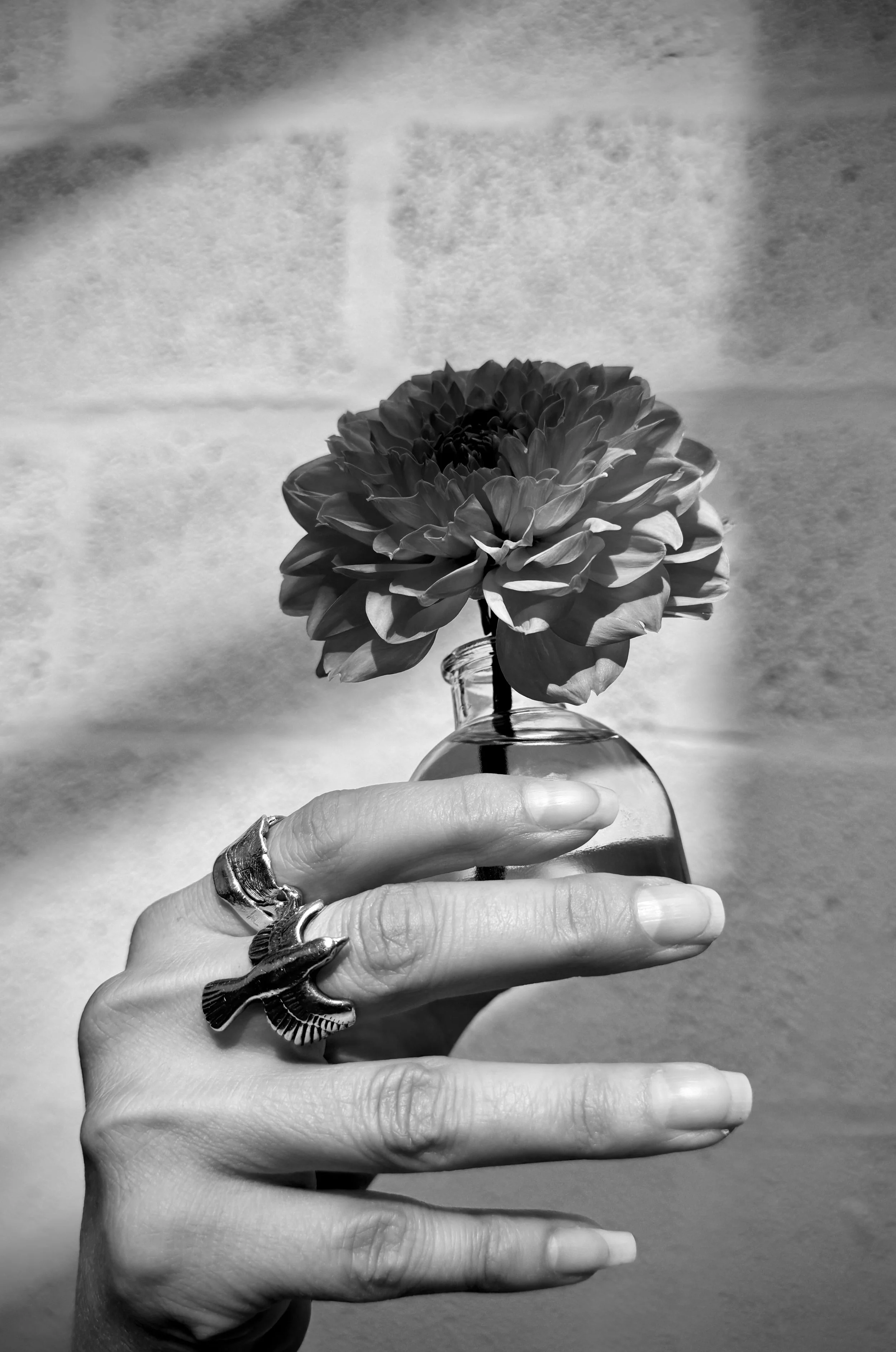 A hand holding a small glass bottle with a flower in it, against a textured background with a great frog ring