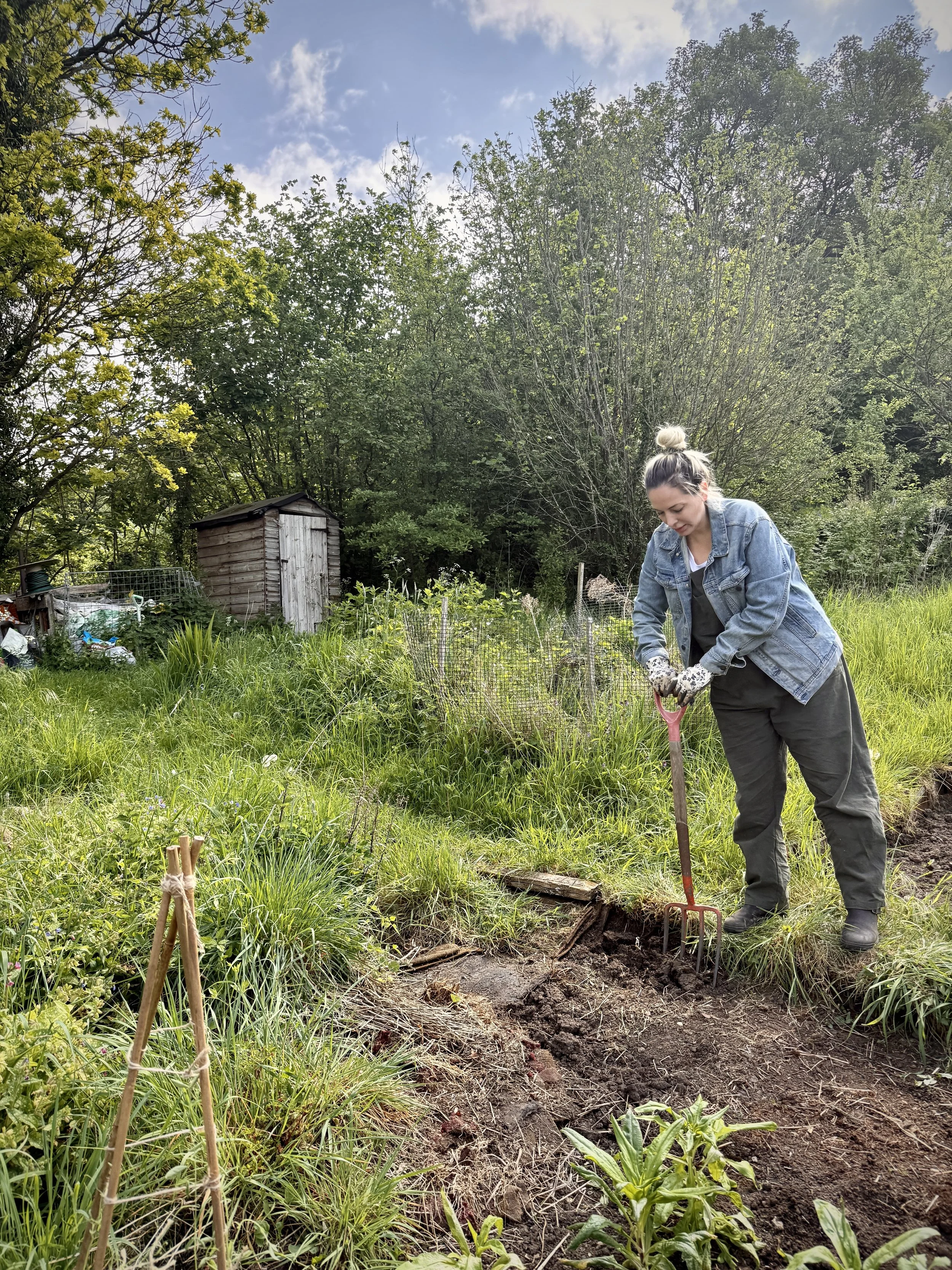 A woman with gray hair tied in a bun wearing a denim jacket and gray pants is gardening with a small rake in an outdoor, lush green setting with trees, grass, and a wooden shed in the background.