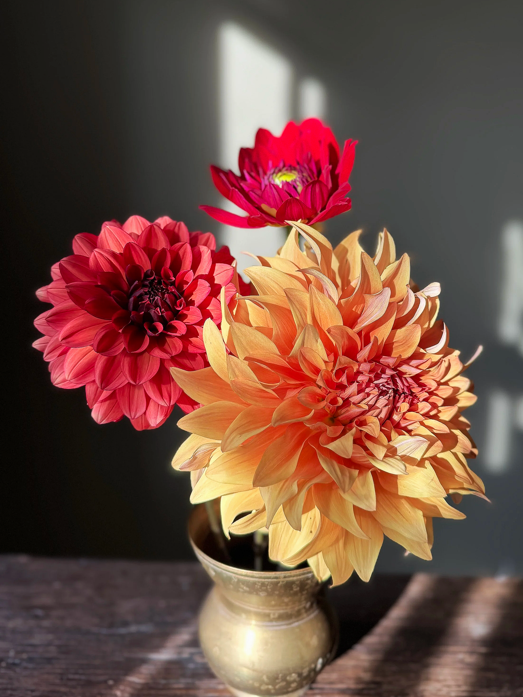 A vase with three large, colorful dahlias: one yellow and orangish, one pink, and one deep red, placed on a wooden surface near a window with sunlight streaming through.