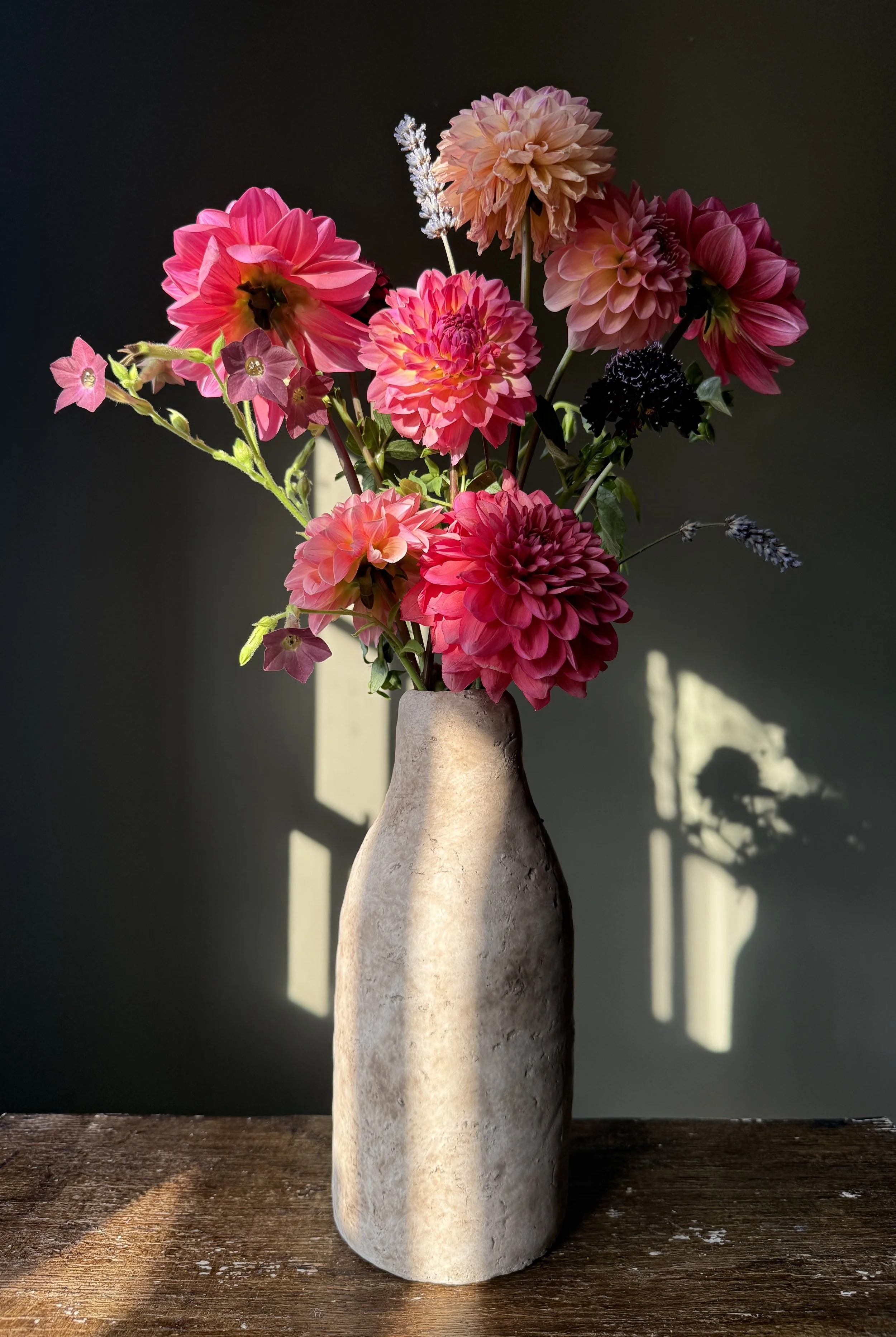 A beige ceramic vase with a textured surface holding a colorful bouquet of pink, peach, and black dahlias, lavender, and small pink flowers on a wooden surface against a dark background with sunlight casting shadows.
