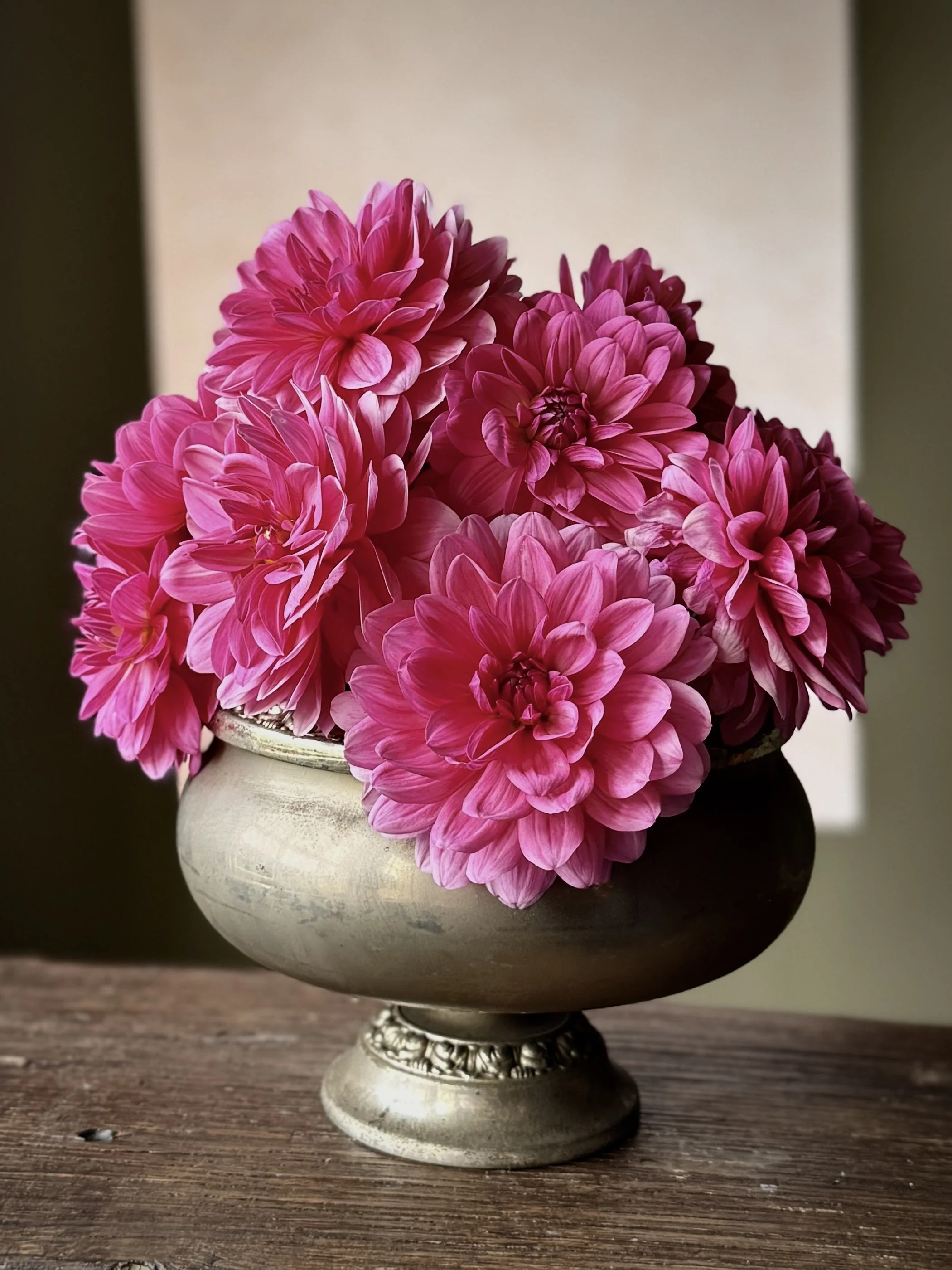 Pink dahlia flowers in a silver vase on a wooden table.