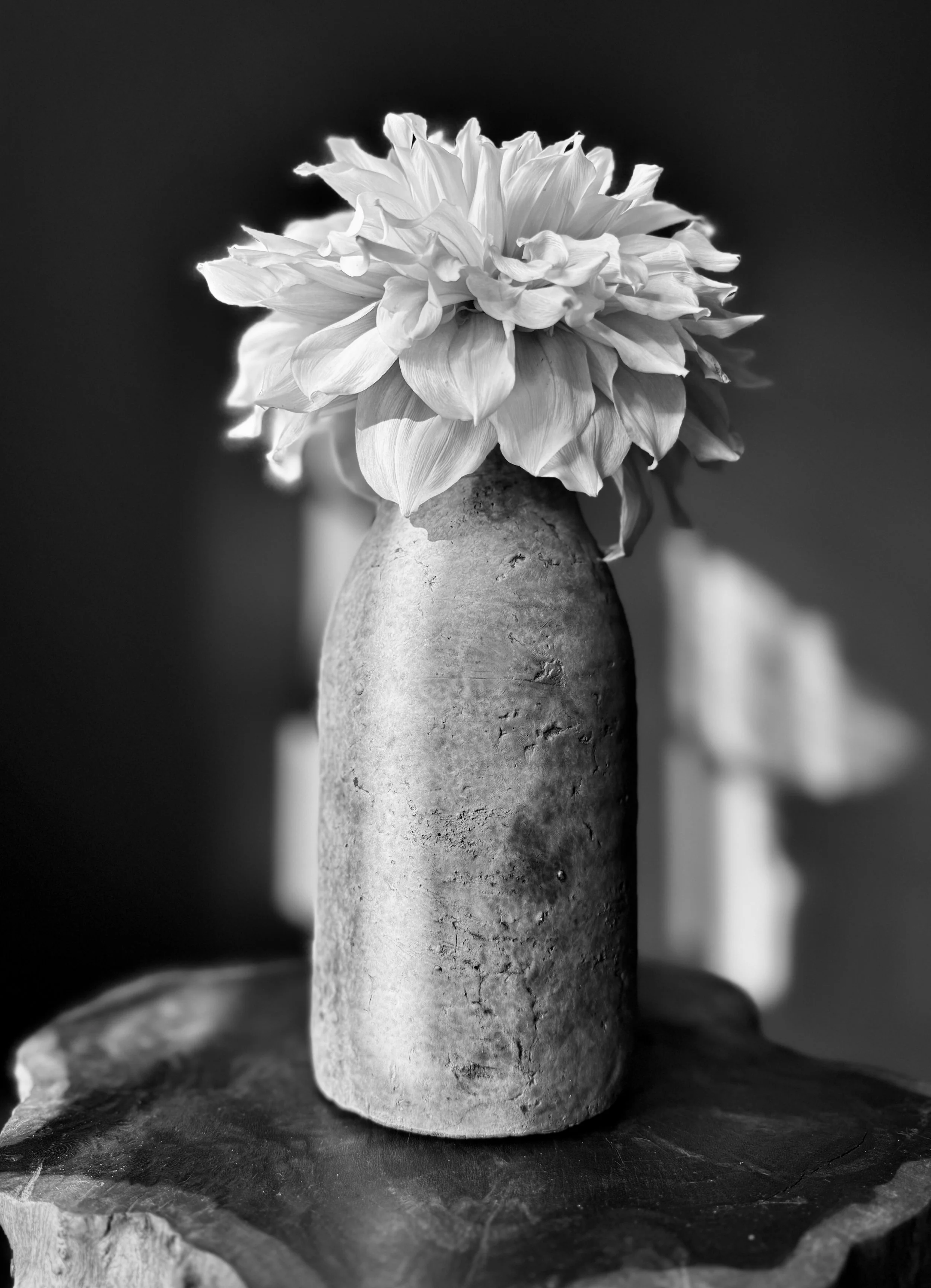 Black-and-white photo of a large flower with many petals in a vase on a wooden surface.