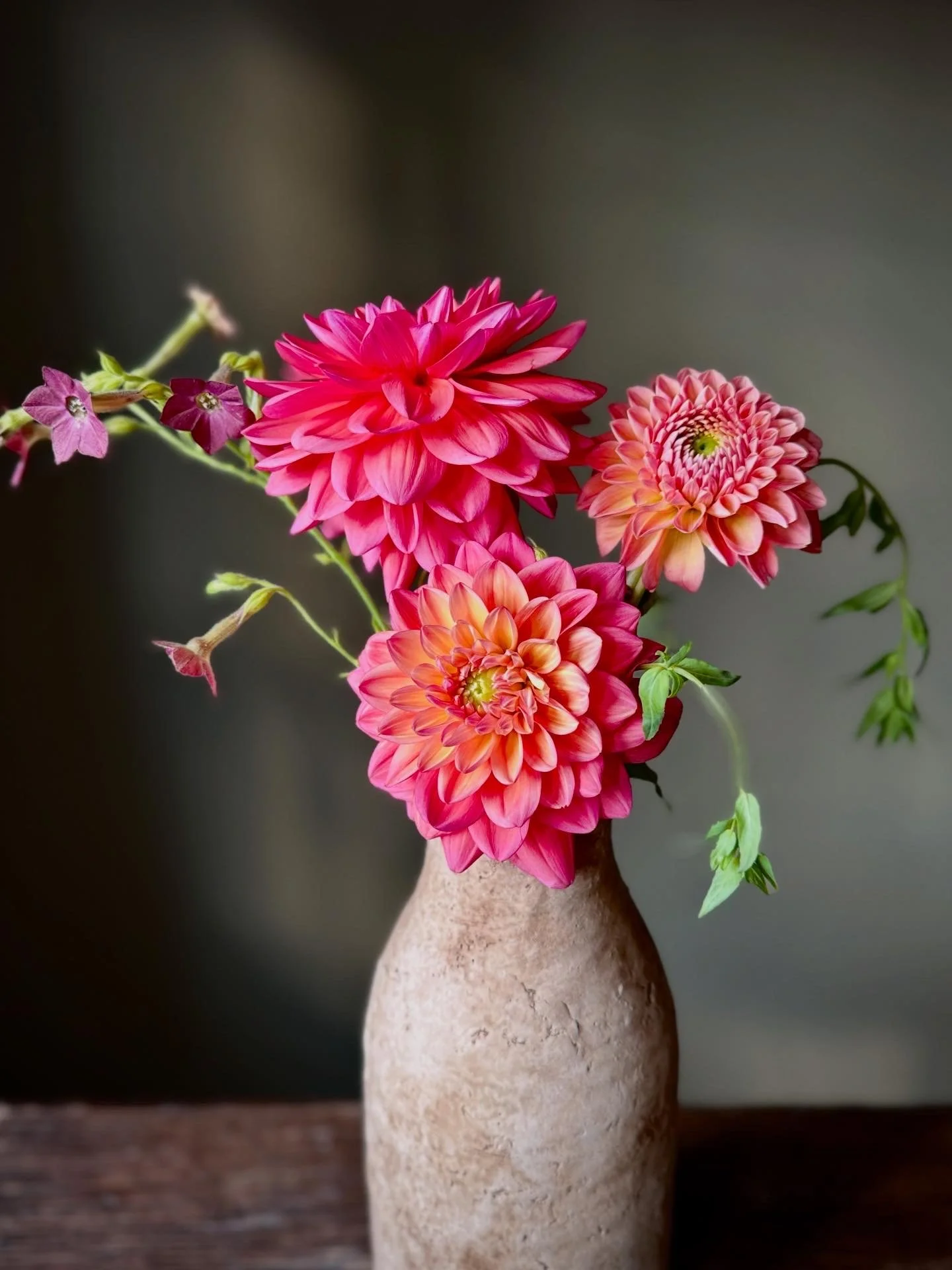 A ceramic vase with a narrow neck holding a bouquet of vibrant pink dahlias and small purple flowers, placed on a wooden surface against a dark background.