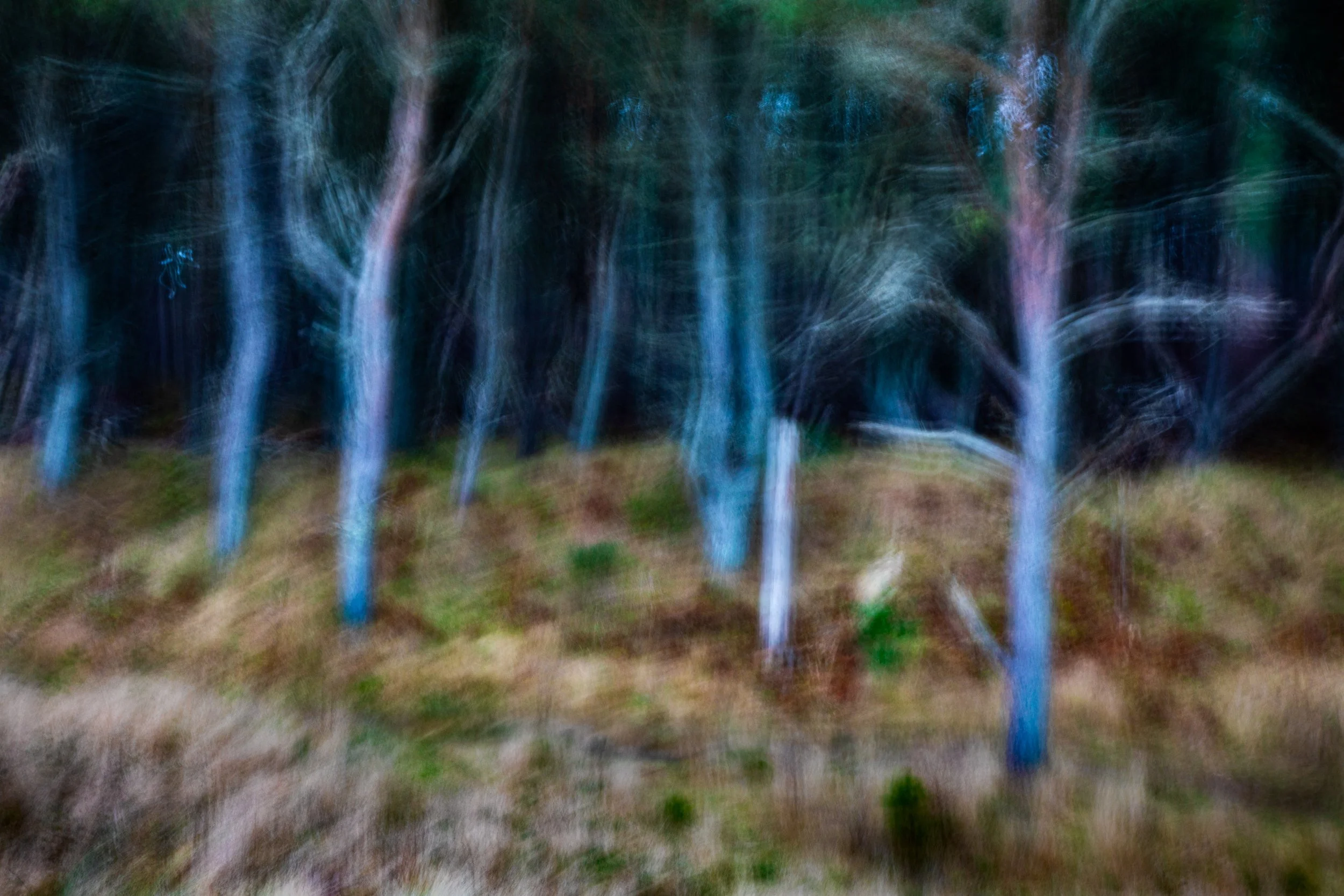 Workshops &amp; Courses